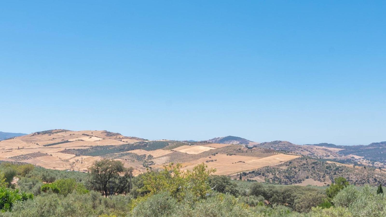 Vila Casa Pulirio Antequera - La Higuera By Ruralidays Exteriér fotografie